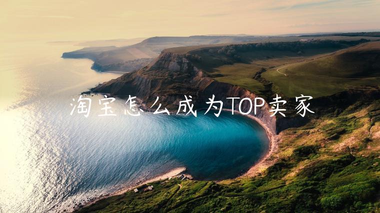 淘寶怎么成為TOP賣家